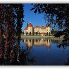 Herbstfarben am Schloss Moritzburg