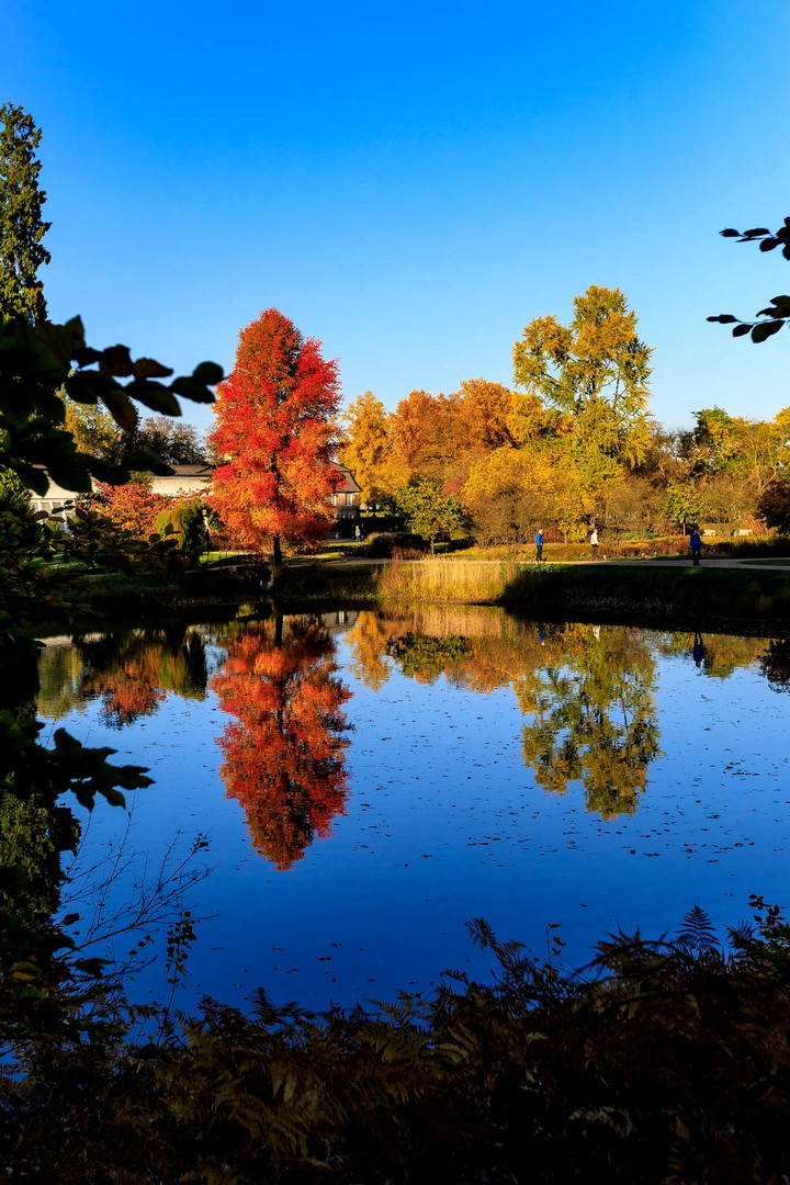 Herbstfarben am Schlossweiher