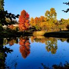 Herbstfarben am Schlossweiher