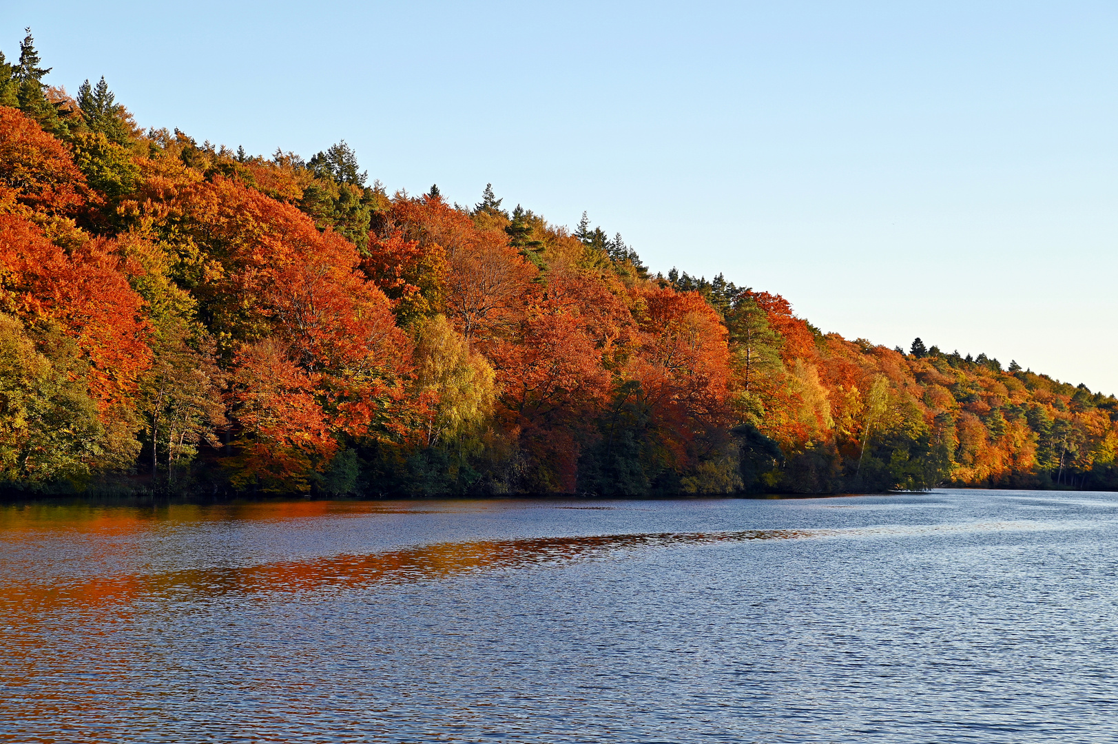 Herbstfarben am Schmalsee bei Mölln