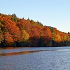 Herbstfarben am Schmalsee bei Mölln