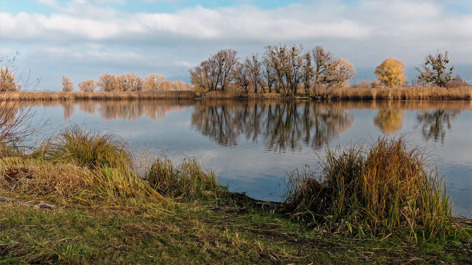 Herbstfarben am See 01