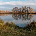 Herbstfarben am See 01