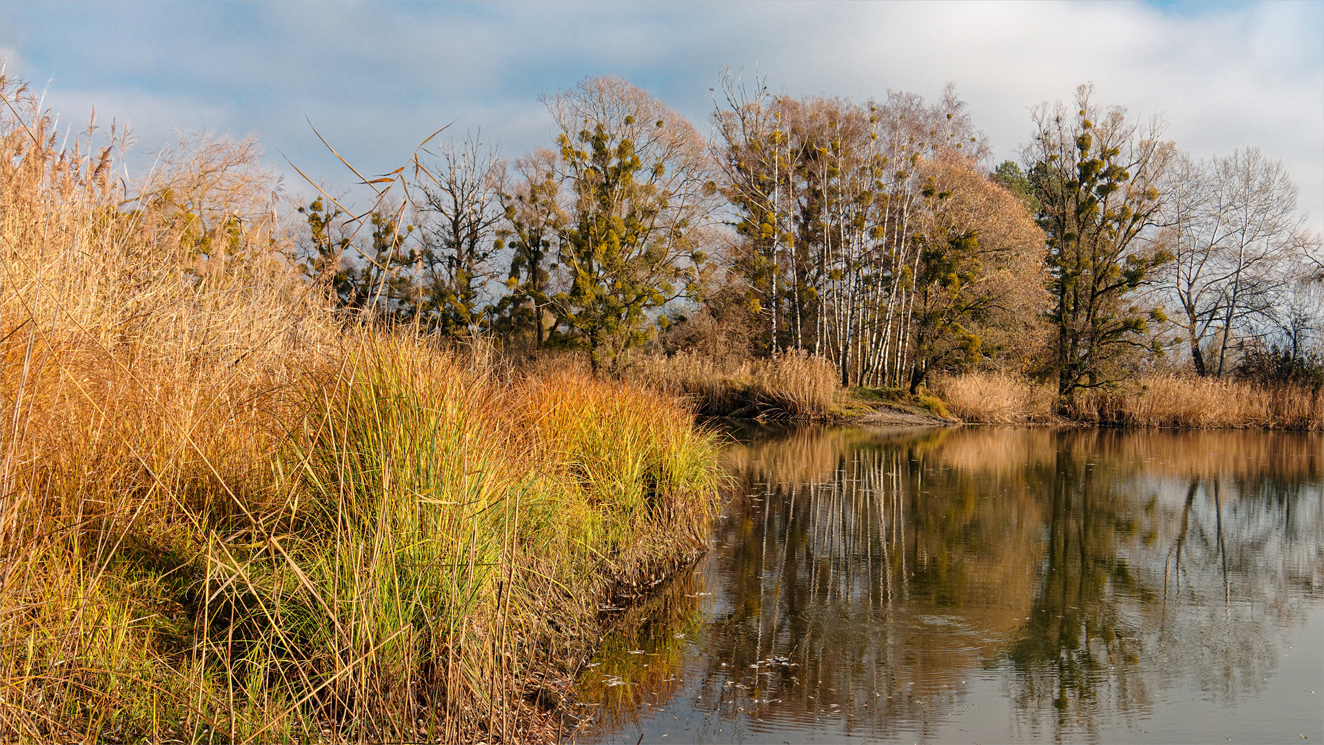 Herbstfarben am See 02