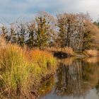 Herbstfarben am See 02