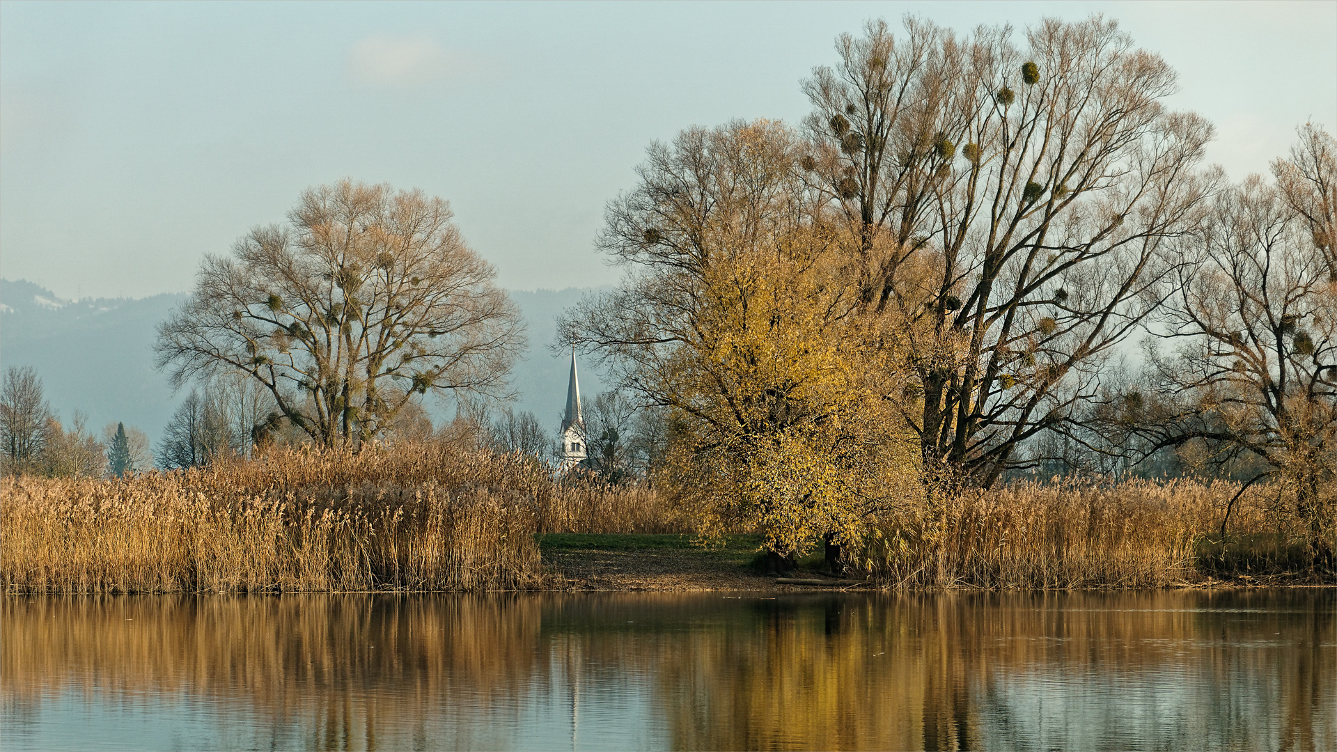 Herbstfarben am See 03