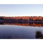 Herbstfarben am See