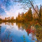 Herbstfarben am See