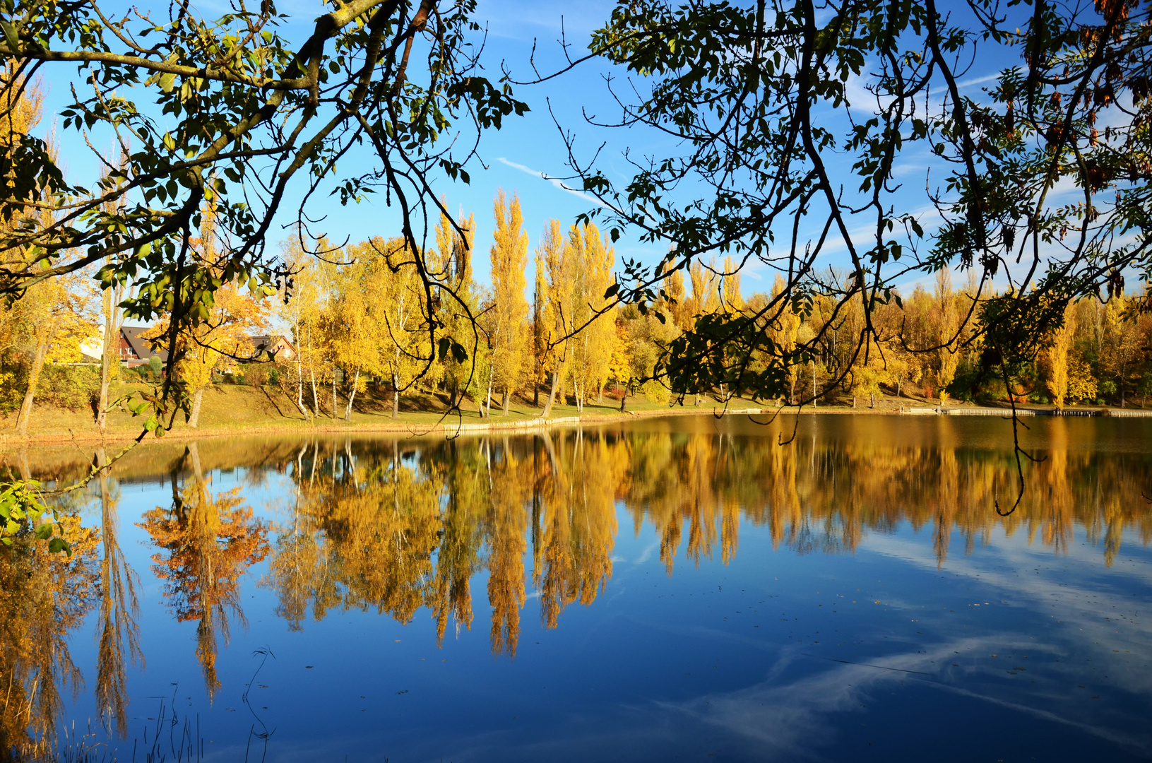 Herbstfarben am See 