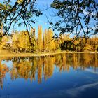 Herbstfarben am See 