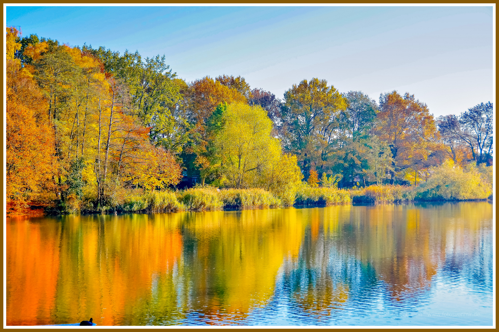 Herbstfarben am See