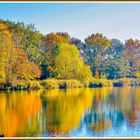 Herbstfarben am See