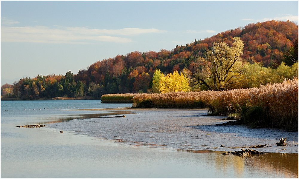 Herbstfarben am Seehamer See