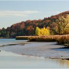 Herbstfarben am Seehamer See