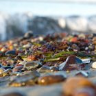 Herbstfarben am Strand