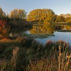 Herbstfarben am Teich