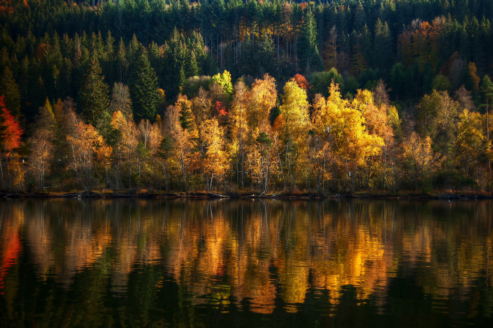 herbstfarben am titisee