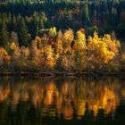 herbstfarben am titisee