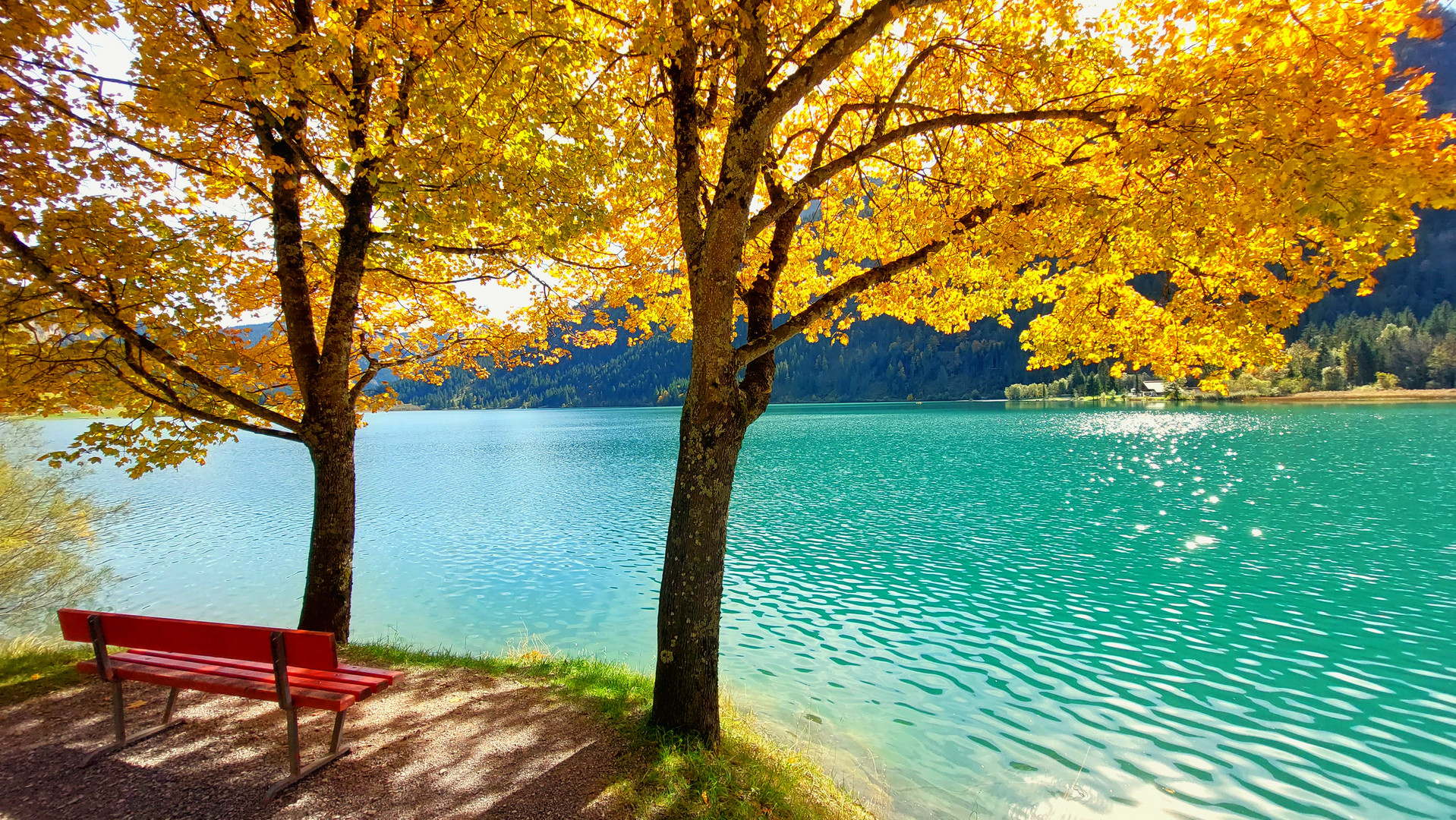 Herbstfarben am türkisblauen Seeufer