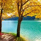 Herbstfarben am türkisblauen Seeufer