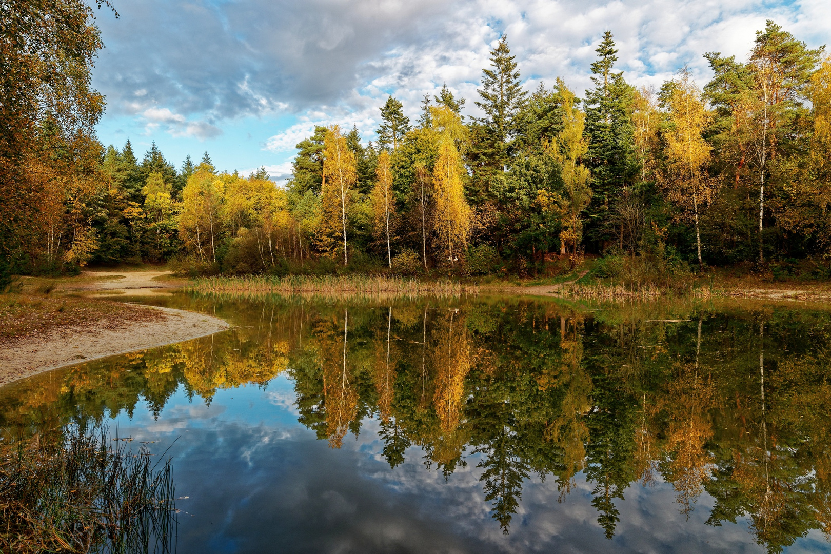 Herbstfarben am und im Waldsee.....