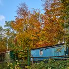 Herbstfarben am Waldkindergarten von Morlautern.