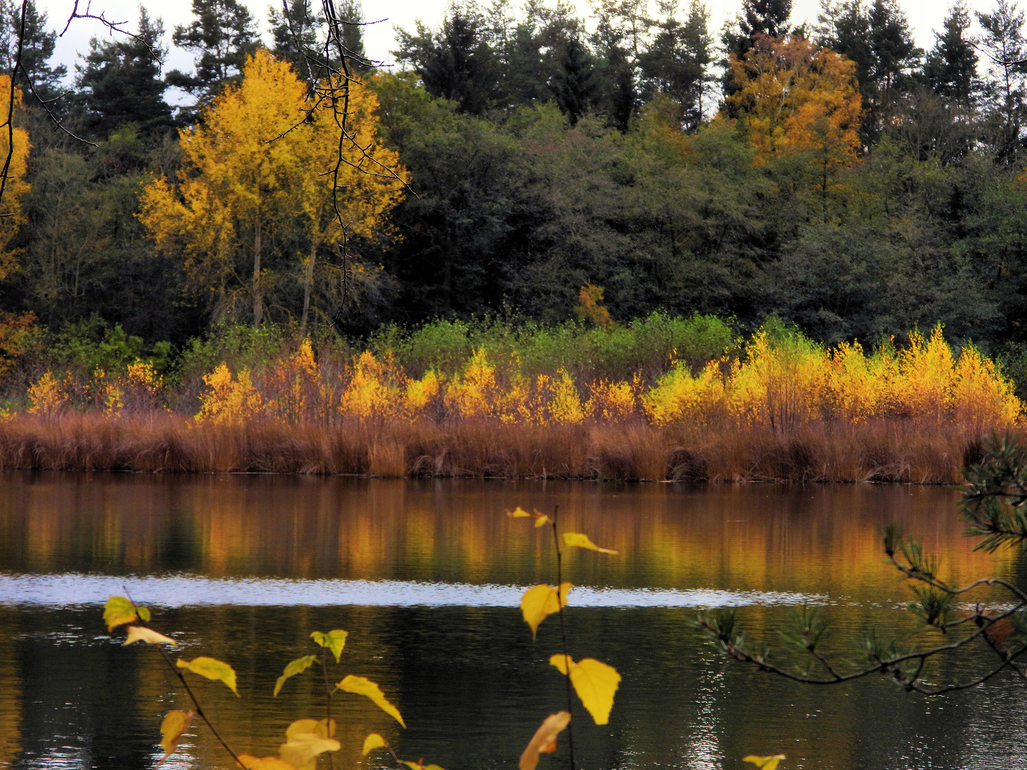 Herbstfarben am Wasser