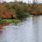 Herbstfarben am Wasser