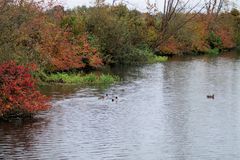 Herbstfarben am Wasser