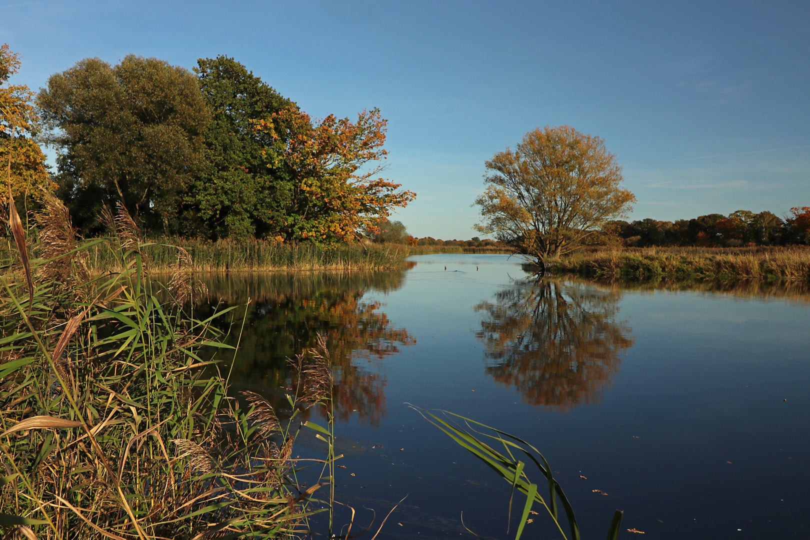 Herbstfarben am Wasser