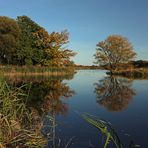 Herbstfarben am Wasser