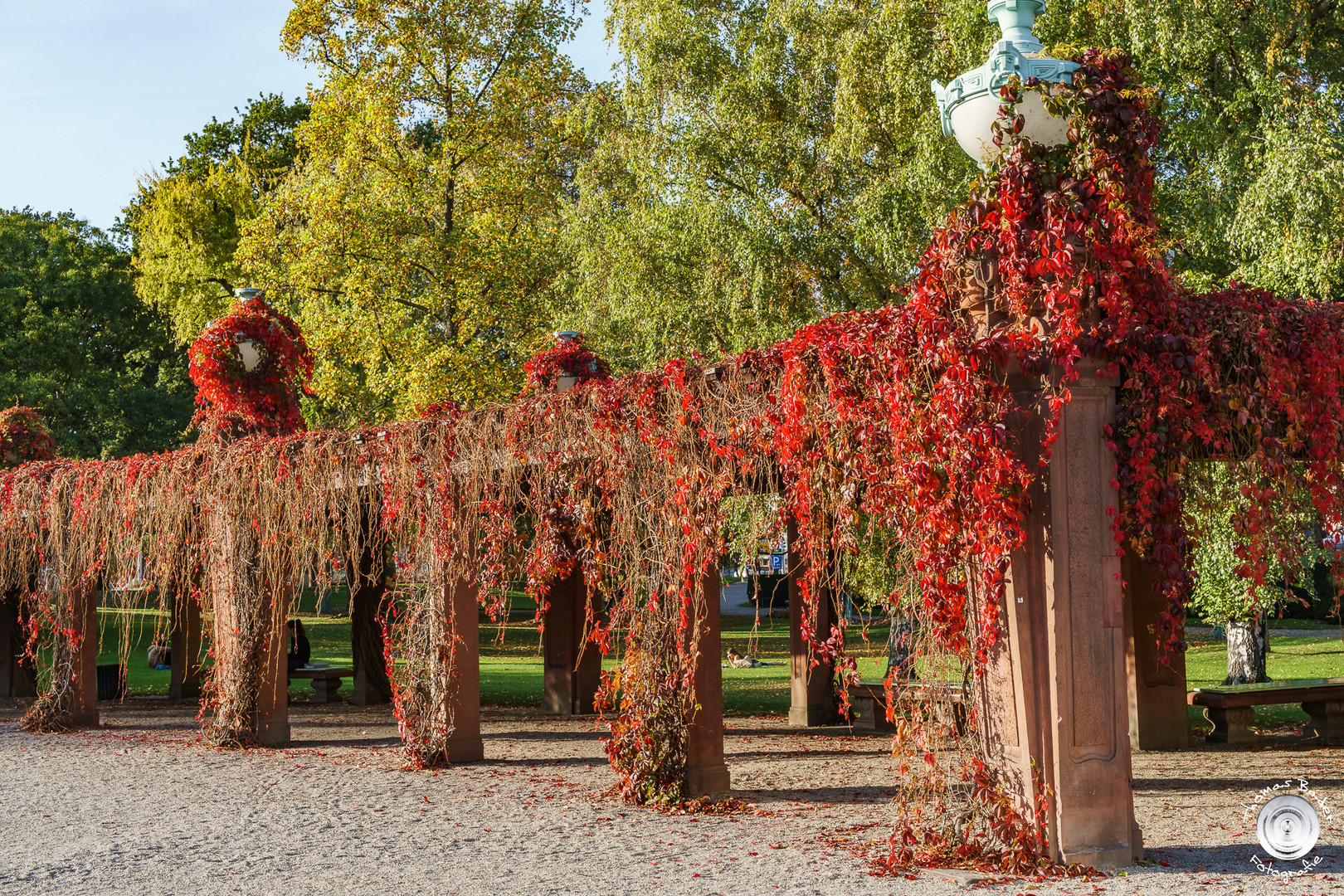 Herbstfarben am Wasserturm