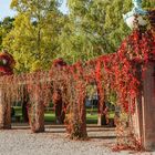 Herbstfarben am Wasserturm