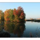 Herbstfarben am Weiher