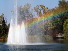 Herbstfarben am Weiher