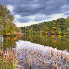 Herbstfarben am Weiher_2