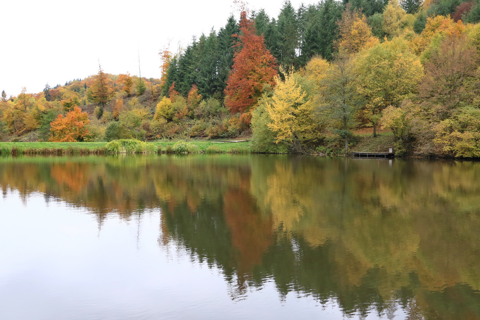 Herbstfarben am Wispersee im Taunus