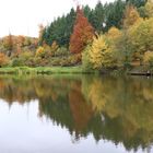 Herbstfarben am Wispersee im Taunus