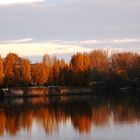 Herbstfarben an der Alster