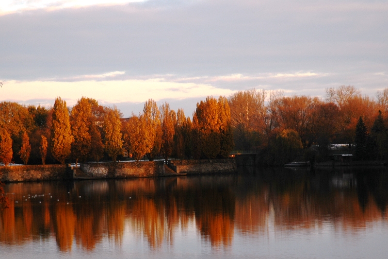 Herbstfarben an der Alster