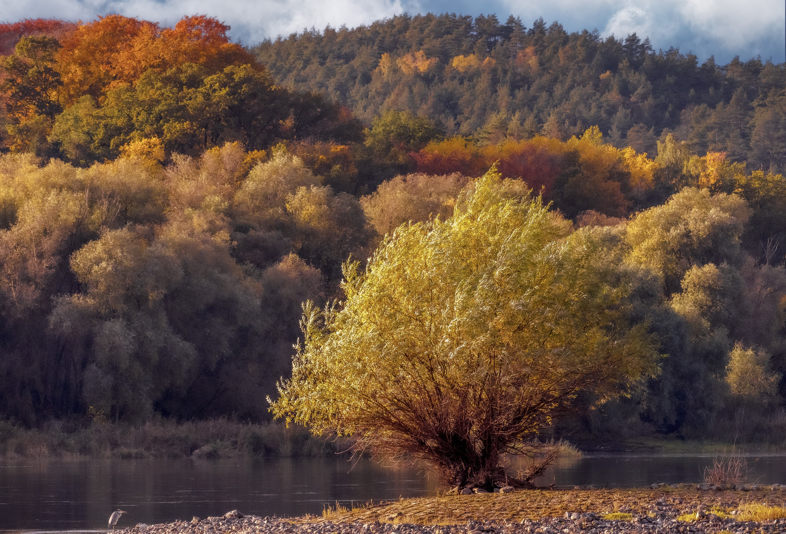 Herbstfarben an der Elbe 