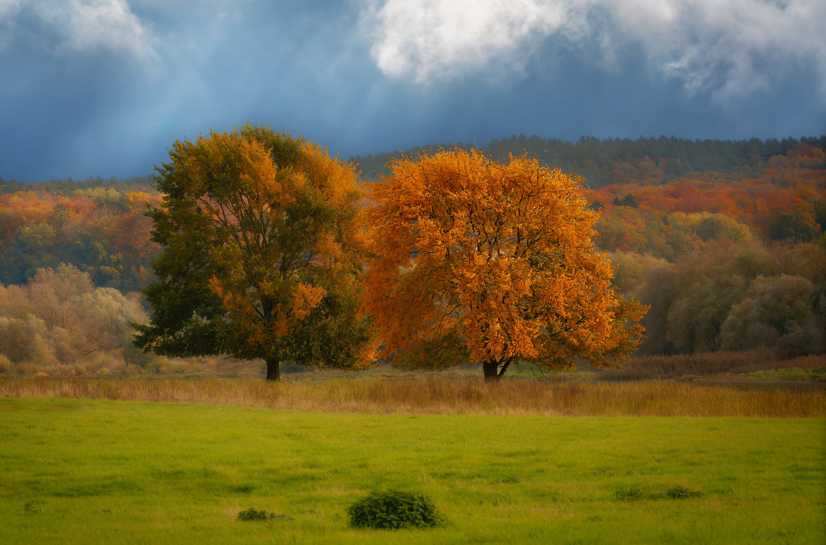 Herbstfarben an der Elbe 