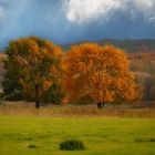 Herbstfarben an der Elbe 