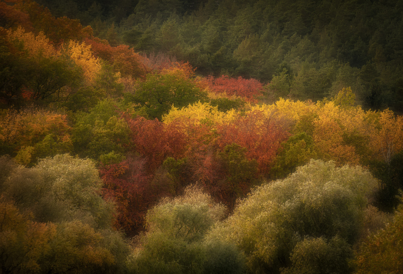 Herbstfarben an der Elbe 