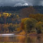 Herbstfarben an der Elbe 