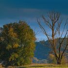 Herbstfarben an der Elbe 