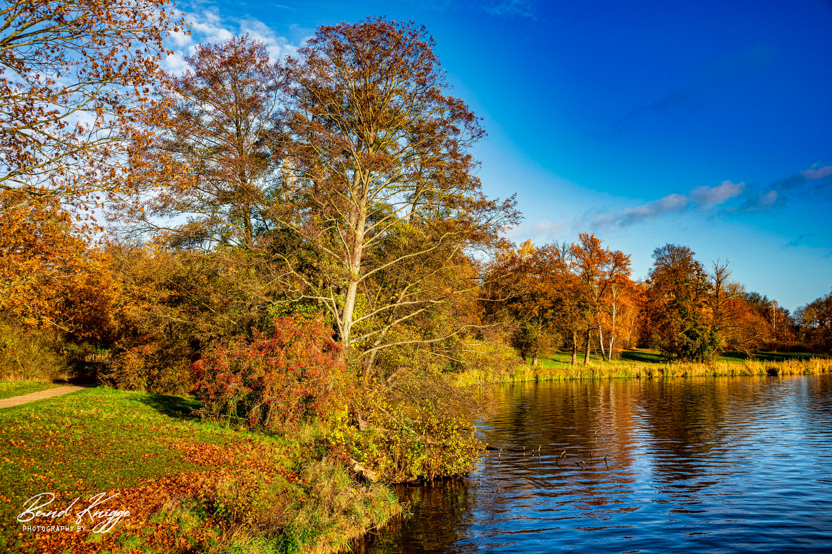 Herbstfarben an der Havel