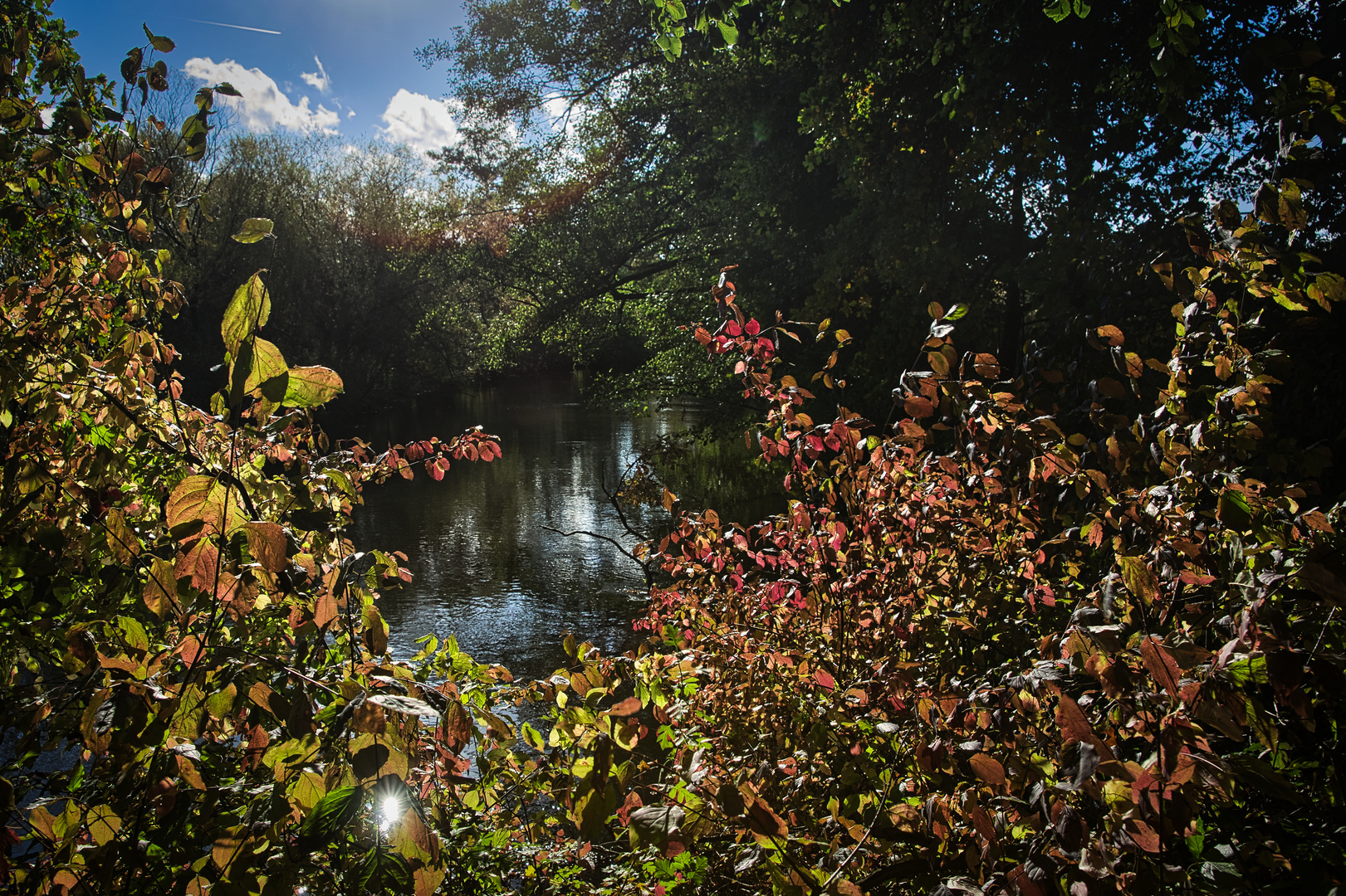 Herbstfarben an der Ilmenau