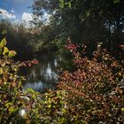 Herbstfarben an der Ilmenau