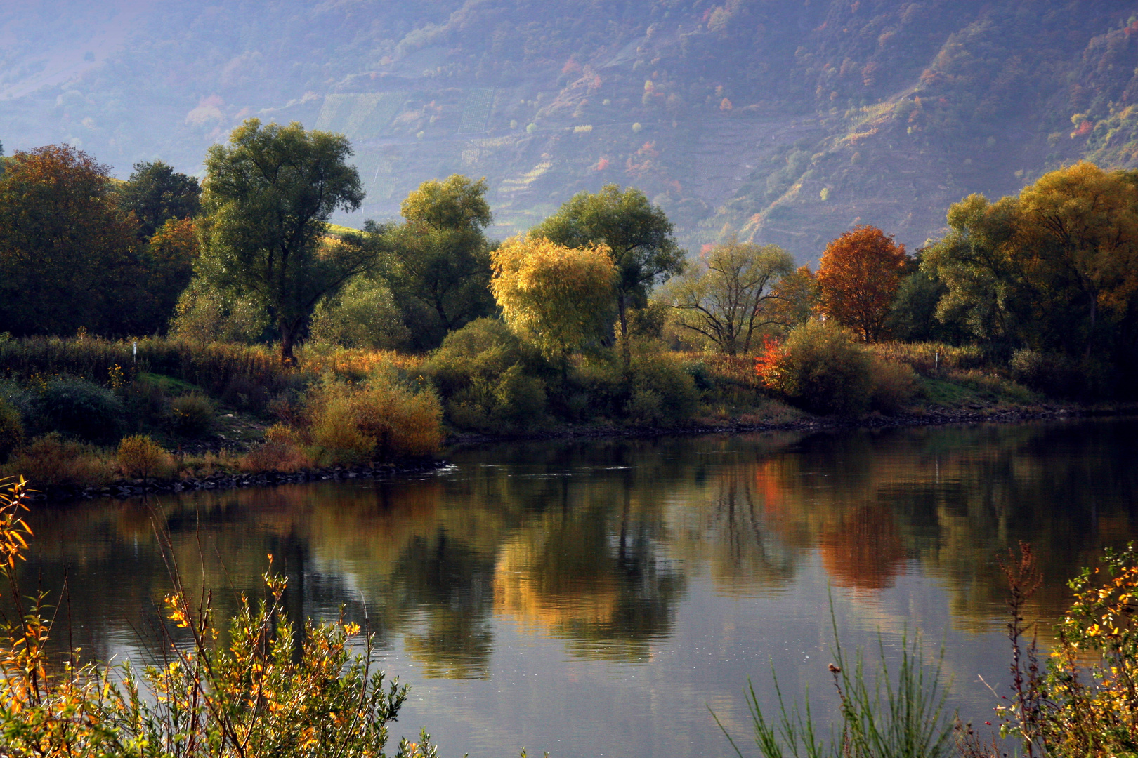 Herbstfarben an der Mosel